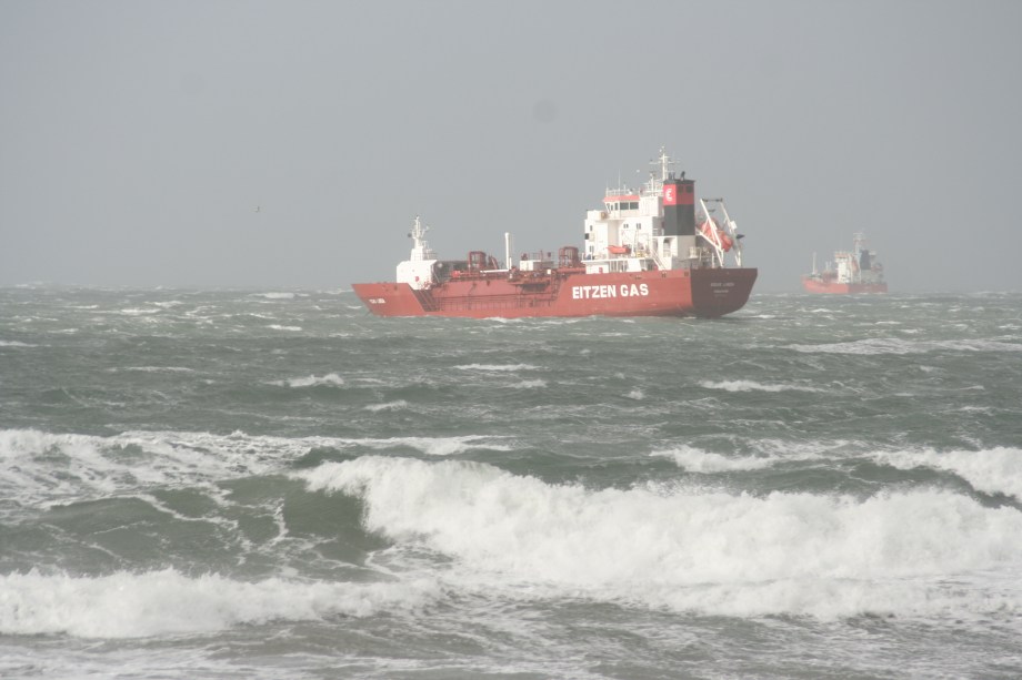 Robin - Valley View Late Oct. 2010 061