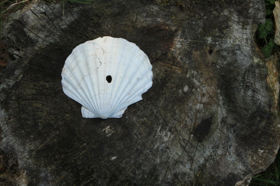 Downloads from cards 2187