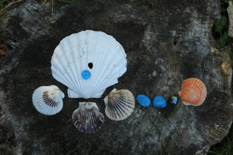 Downloads from cards 2200