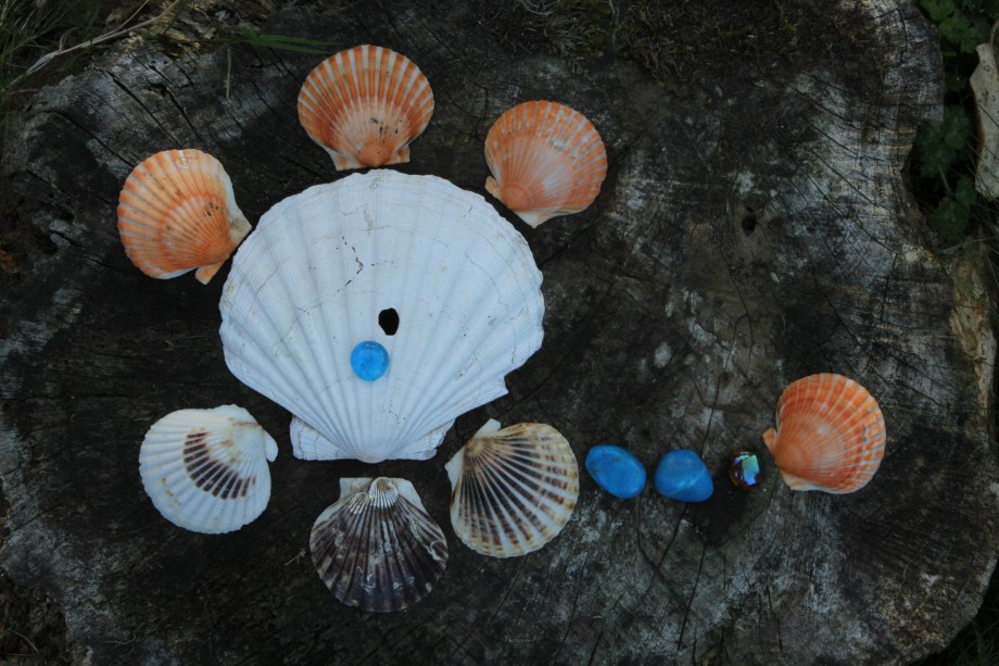 Downloads from cards 2201