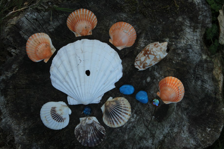 Downloads from cards 2203