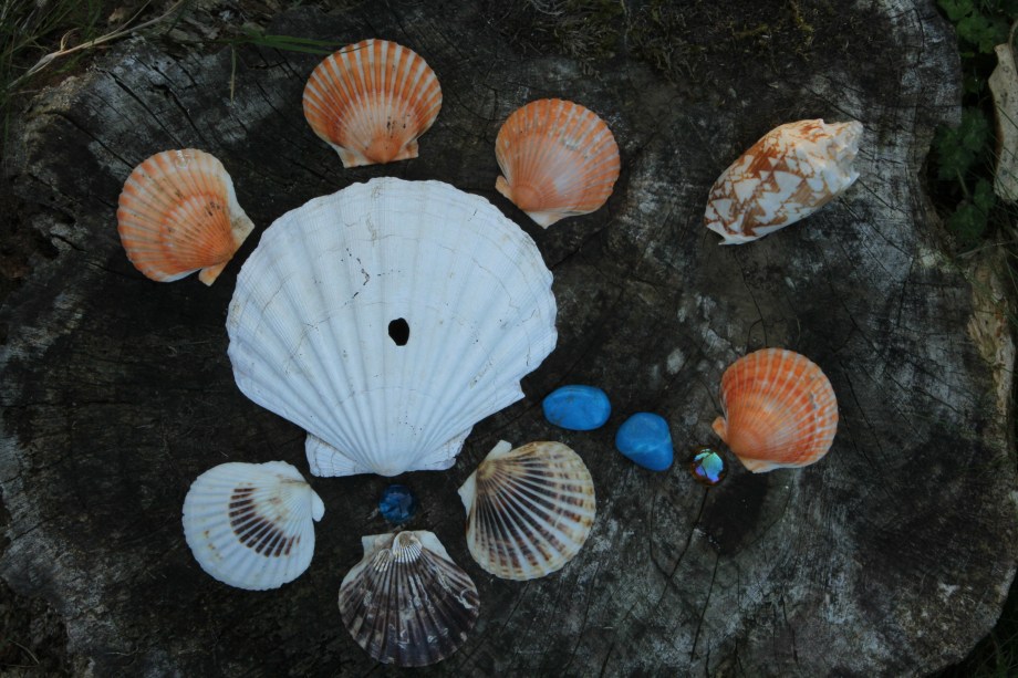 Downloads from cards 2204