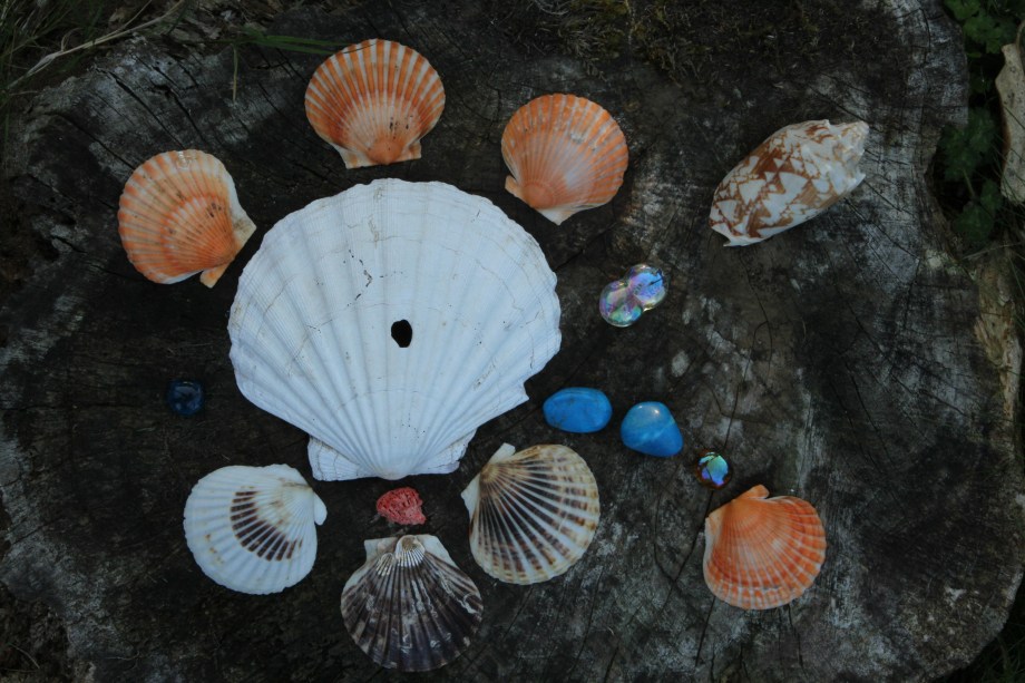 Downloads from cards 2206