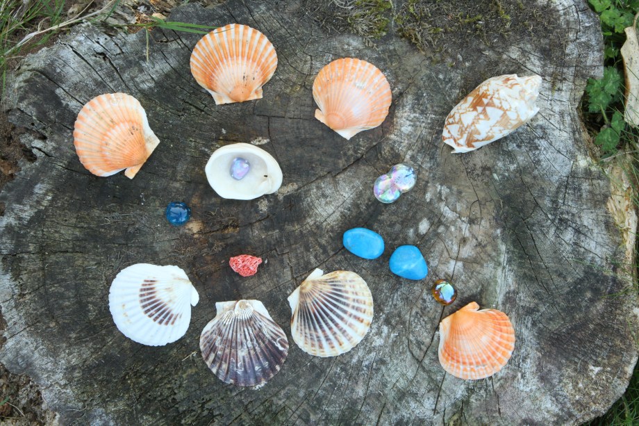 Downloads from cards 2208