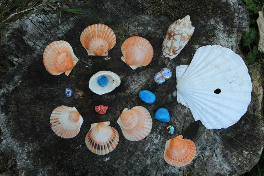 Downloads from cards 2212