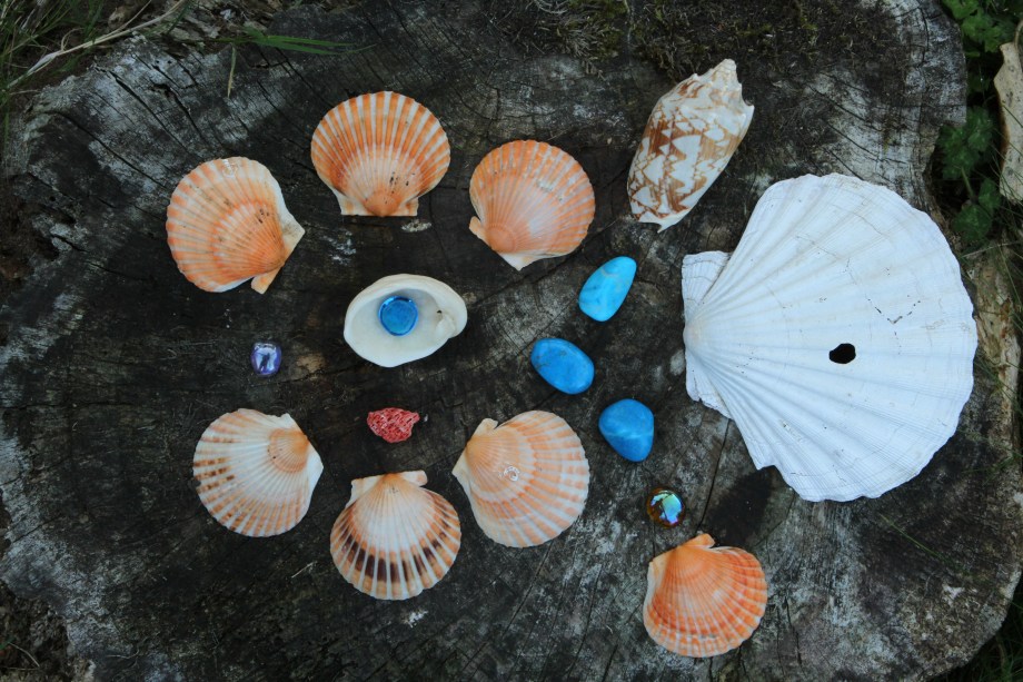 Downloads from cards 2213