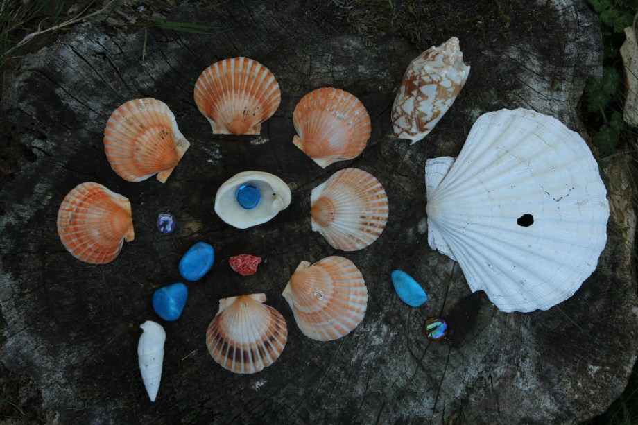 Downloads from cards 2214