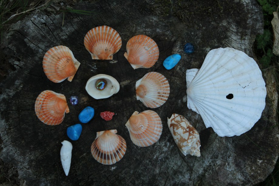 Downloads from cards 2216