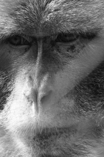 Downloads from cards 1191