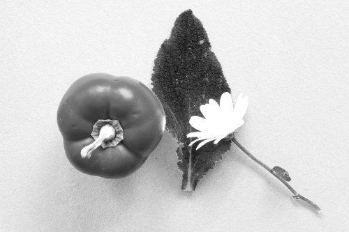 Yellow 250 Green 150