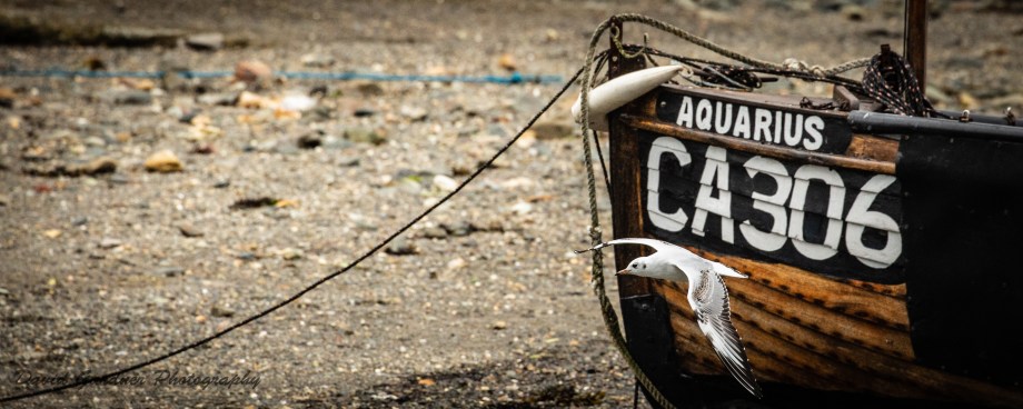 DCG_0120 copy20180917