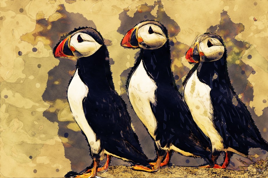PUFFINS ON PATROL
